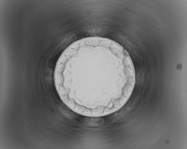 X0000097640671200803281124