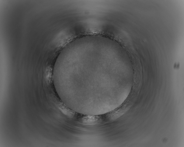 X0000097640672200803281124