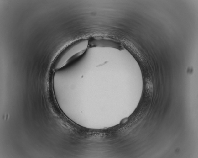 X0000097640676200803281123