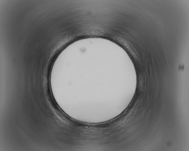 X0000097640677200803281123