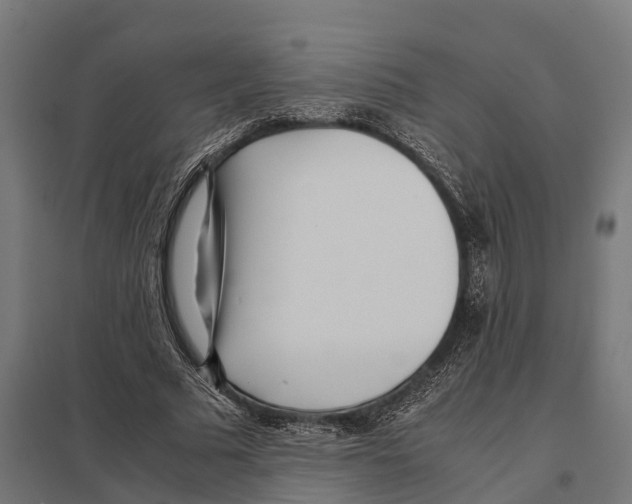 X0000097640681200803281123