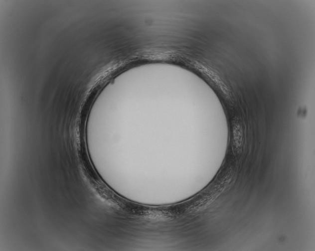 X0000097640682200803281123