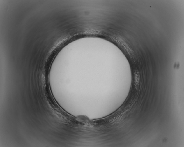 X0000097640684200803281123