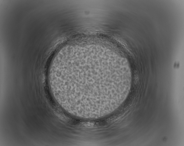 X0000097640687200803281123