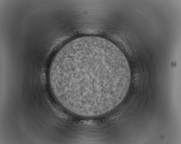 X0000097640688200803281123