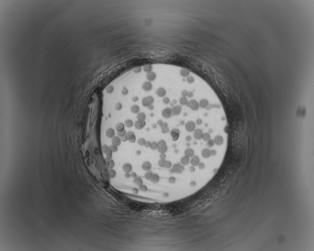 X0000097640689200803281123