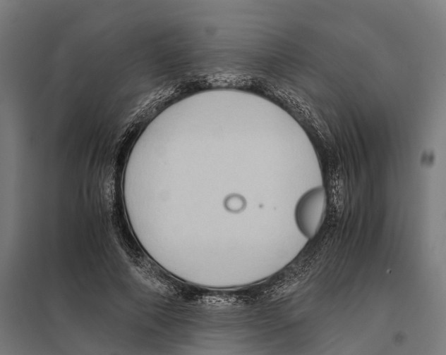 X0000097640690200803281123