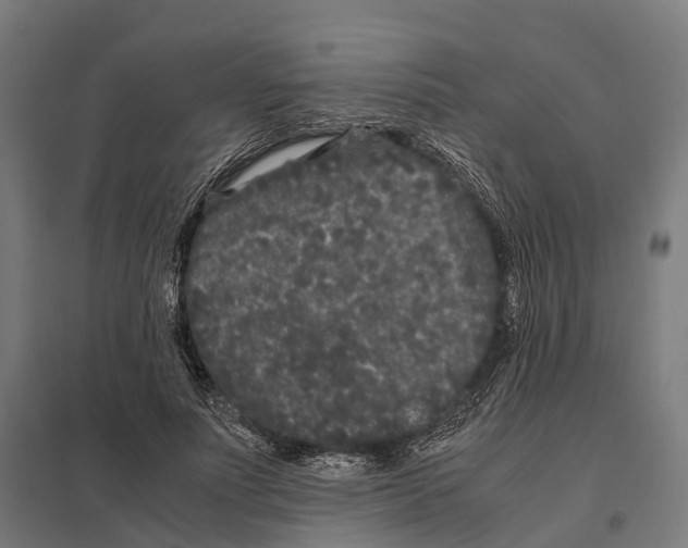 X0000097640691200803281123