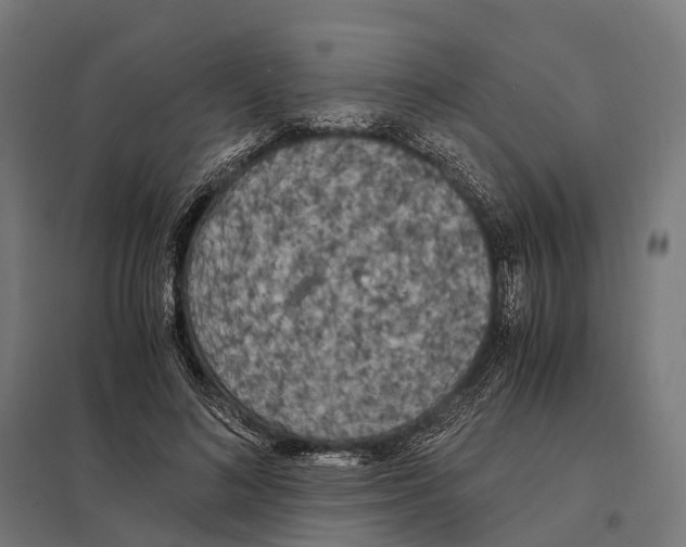 X0000097640692200803281123