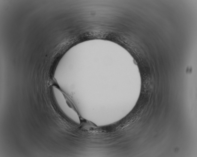 X0000097640693200803281123