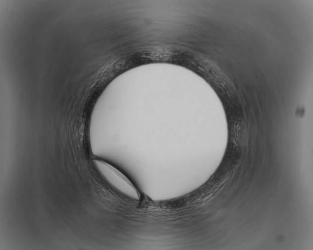 X0000097640697200803281123