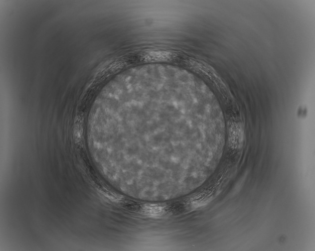 X0000097640701200803281123