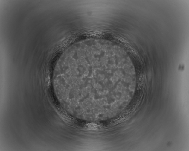 X0000097640703200803281123