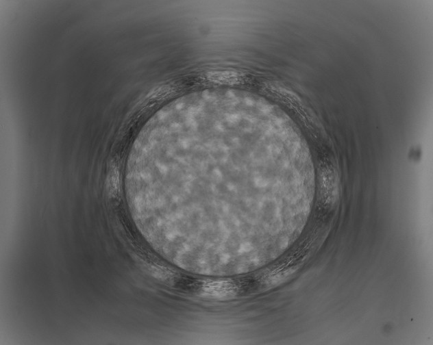 X0000097640705200803281123