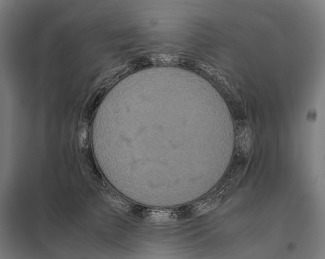 X0000097640709200803281123