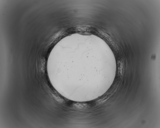 X0000097640712200803281123