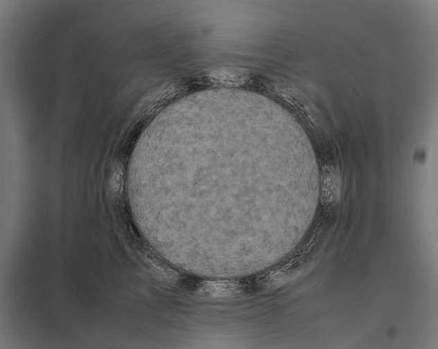 X0000097640713200803281123