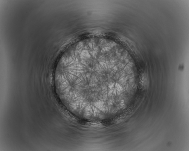 X0000097640715200803281123