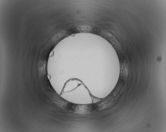 X0000097640717200803281123