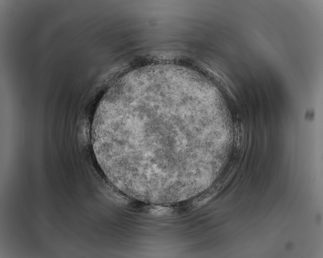 X0000097640718200803281123