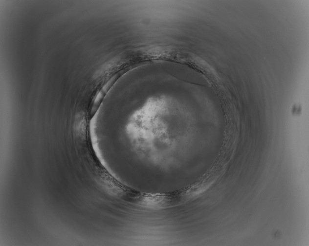 X0000097640720200803281123