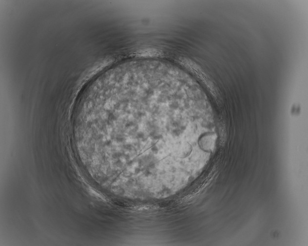 X0000097640721200803281122