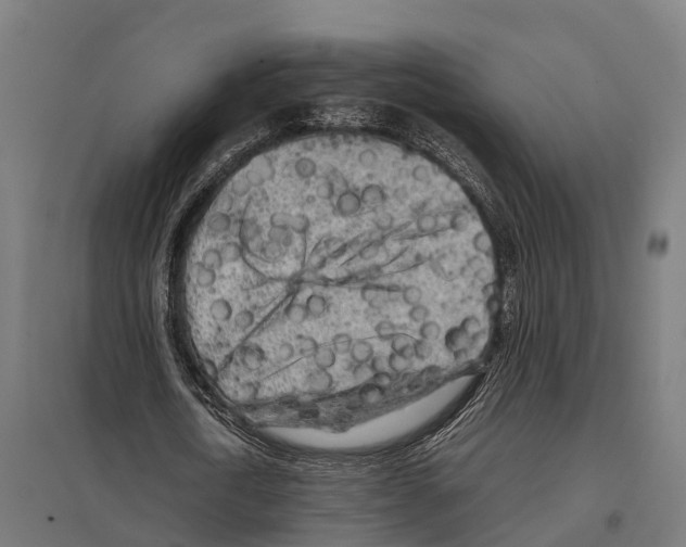 X0000097640722200803281122