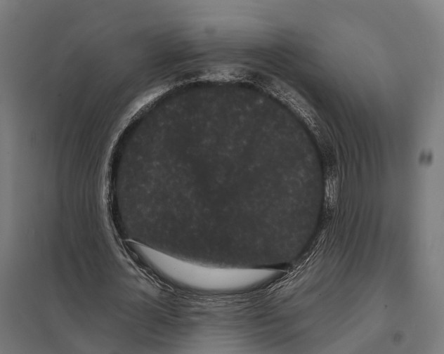 X0000097640724200803281122