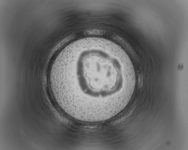 X0000097640725200803281122