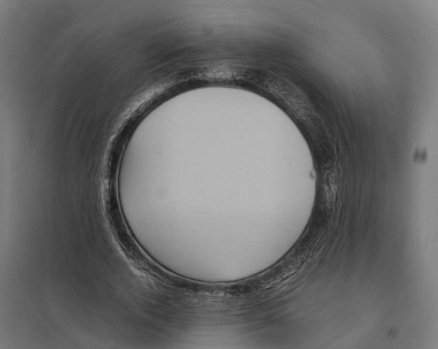 X0000097640728200803281122