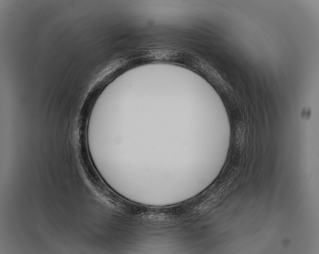 X0000097640730200803281122