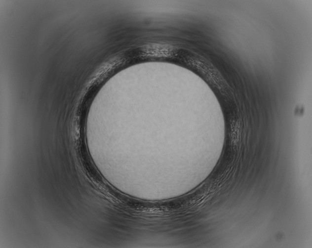 X0000097640731200803281122