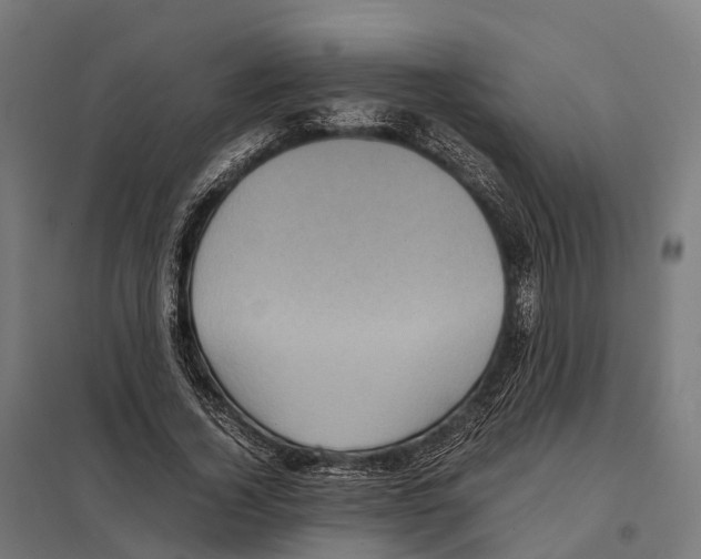 X0000097640732200803281122