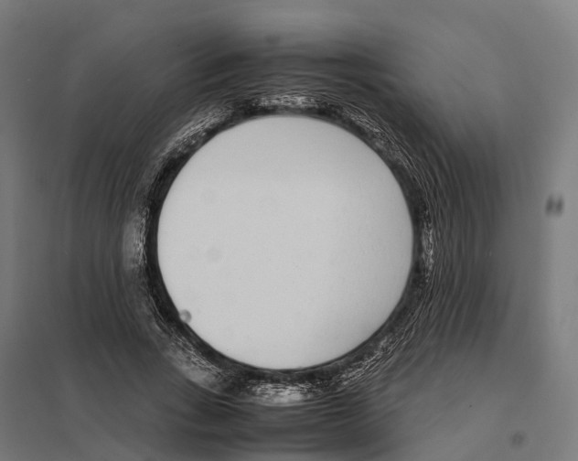 X0000097640735200803281122