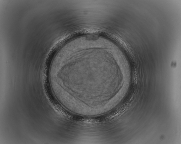 X0000097640736200803281122