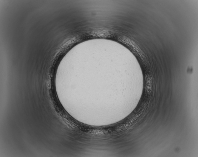 X0000097640738200803281122