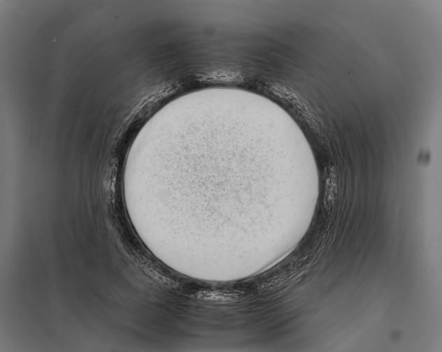 X0000097640739200803281122