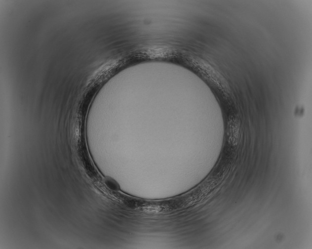 X0000097640740200803281122