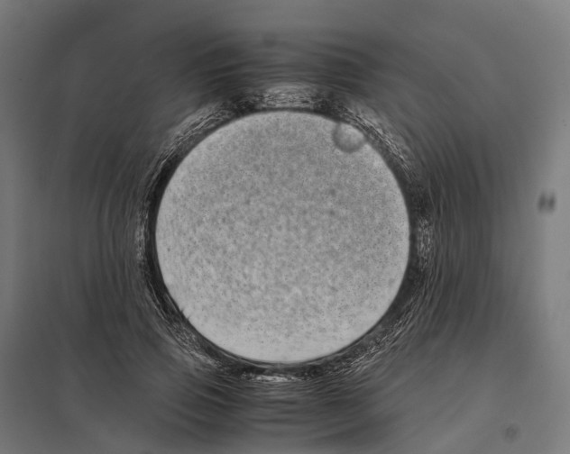 X0000097640741200803281122