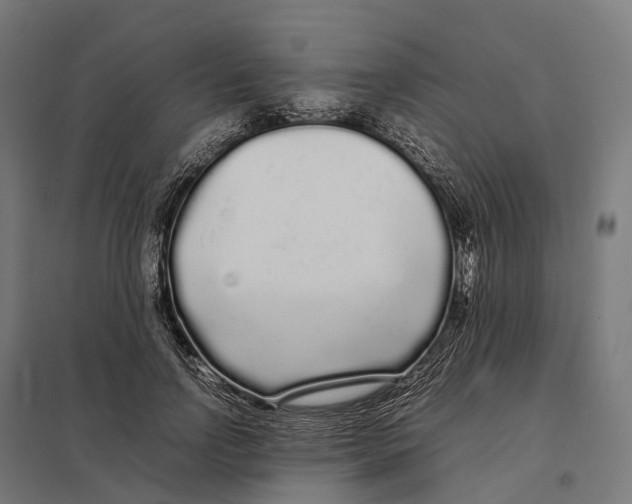 X0000097640742200803281122