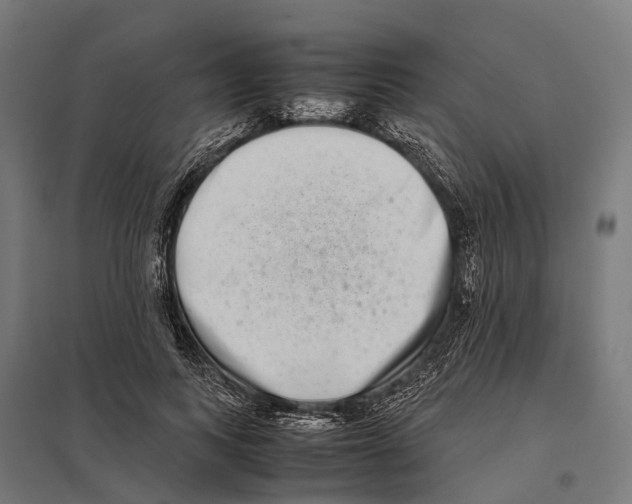 X0000097640743200803281122