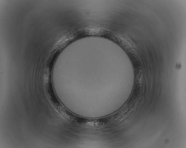 X0000097640744200803281122