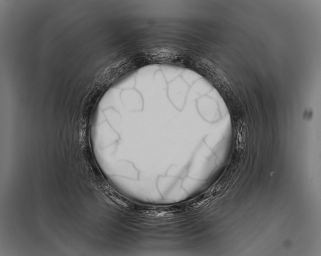 X0000097640745200803281122