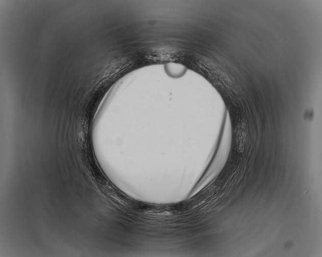 X0000097640747200803281123