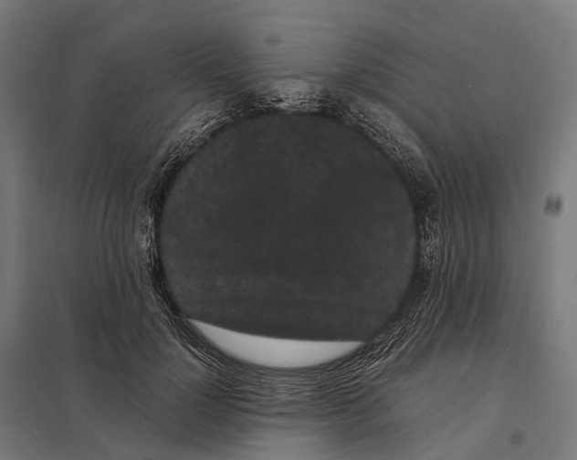 X0000097640748200803281123