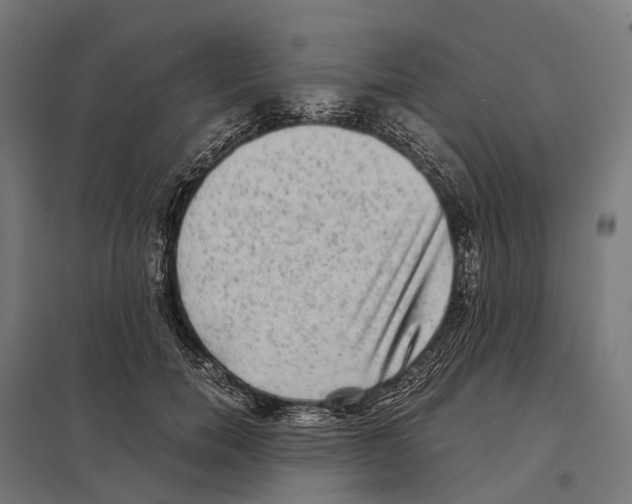 X0000097640750200803281123