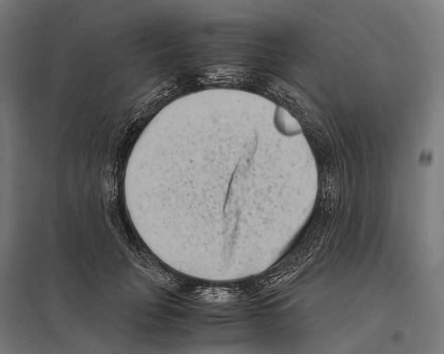 X0000097640751200803281123