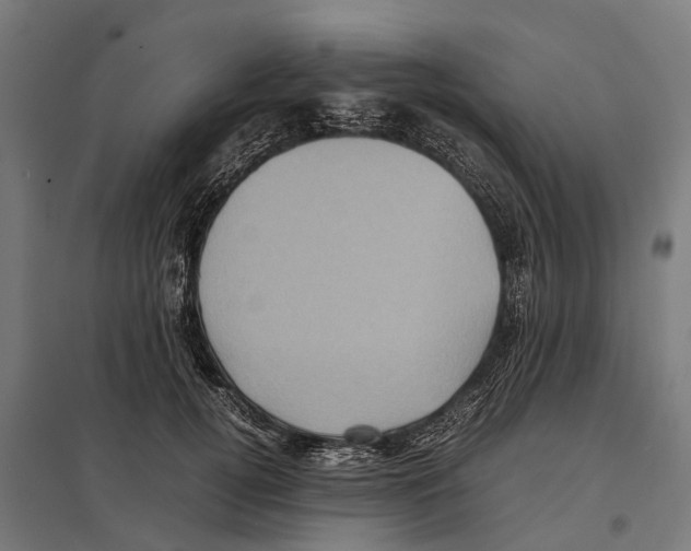 X0000097640752200803281123