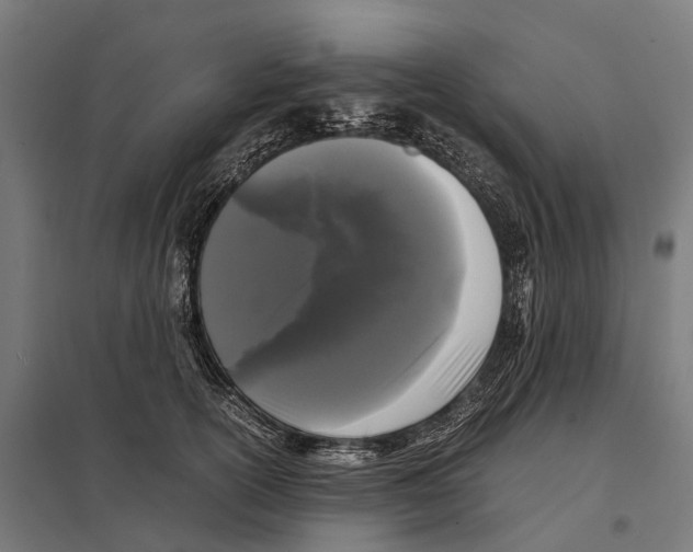 X0000097640754200803281123