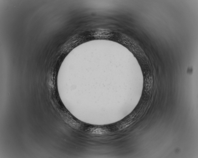 X0000097640755200803281123